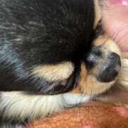 ヒメ日記 2025/07/18 16:46 投稿 真央（人妻） Yシャツと私