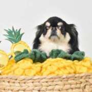 ヒメ日記 2025/07/19 11:41 投稿 真央（人妻） Yシャツと私