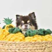 ヒメ日記 2025/07/20 11:56 投稿 真央（人妻） Yシャツと私