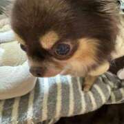 ヒメ日記 2025/07/21 14:05 投稿 真央（人妻） Yシャツと私