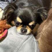 ヒメ日記 2025/07/22 11:45 投稿 真央（人妻） Yシャツと私