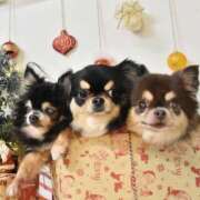 ヒメ日記 2025/07/28 14:51 投稿 真央（人妻） Yシャツと私