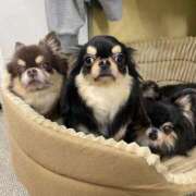 ヒメ日記 2025/08/05 11:58 投稿 真央（人妻） Yシャツと私