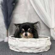 ヒメ日記 2025/08/08 14:31 投稿 真央（人妻） Yシャツと私