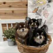 ヒメ日記 2025/08/13 14:39 投稿 真央（人妻） Yシャツと私