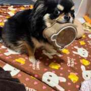 ヒメ日記 2025/09/03 14:26 投稿 真央（人妻） Yシャツと私