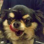 真央（人妻） 出勤しました Yシャツと私