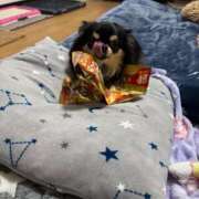 真央（人妻） 寒いねー Yシャツと私