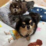 ヒメ日記 2026/02/04 11:13 投稿 真央（人妻） Yシャツと私