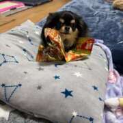 ヒメ日記 2026/02/06 18:13 投稿 真央（人妻） Yシャツと私