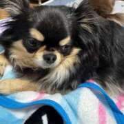 ヒメ日記 2026/02/07 11:38 投稿 真央（人妻） Yシャツと私