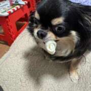 ヒメ日記 2026/02/10 09:12 投稿 真央（人妻） Yシャツと私