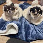 ヒメ日記 2026/02/10 11:44 投稿 真央（人妻） Yシャツと私