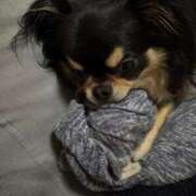 ヒメ日記 2026/02/12 06:56 投稿 真央（人妻） Yシャツと私