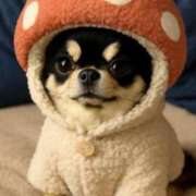 ヒメ日記 2026/02/12 11:52 投稿 真央（人妻） Yシャツと私