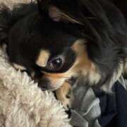 ヒメ日記 2026/02/13 17:20 投稿 真央（人妻） Yシャツと私