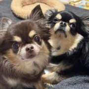 ヒメ日記 2026/02/14 07:28 投稿 真央（人妻） Yシャツと私