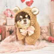 ヒメ日記 2026/02/14 11:42 投稿 真央（人妻） Yシャツと私