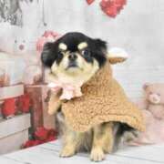 ヒメ日記 2026/02/15 07:21 投稿 真央（人妻） Yシャツと私