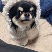 ヒメ日記 2026/02/19 11:41 投稿 真央（人妻） Yシャツと私