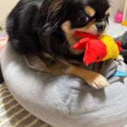 ヒメ日記 2026/02/20 15:39 投稿 真央（人妻） Yシャツと私