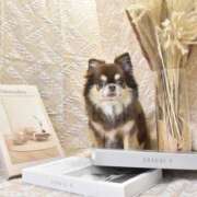 ヒメ日記 2026/02/23 07:41 投稿 真央（人妻） Yシャツと私