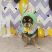 ヒメ日記 2026/02/23 11:51 投稿 真央（人妻） Yシャツと私