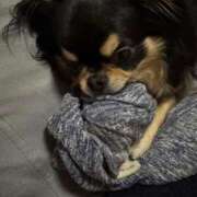 ヒメ日記 2026/02/24 11:52 投稿 真央（人妻） Yシャツと私