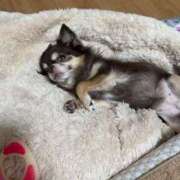 ヒメ日記 2026/02/25 07:25 投稿 真央（人妻） Yシャツと私