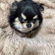 ヒメ日記 2026/02/26 07:17 投稿 真央（人妻） Yシャツと私