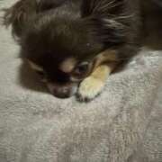 ヒメ日記 2026/02/28 06:50 投稿 真央（人妻） Yシャツと私