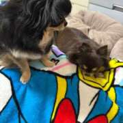 ヒメ日記 2026/03/01 11:42 投稿 真央（人妻） Yシャツと私