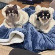 ヒメ日記 2026/03/02 07:21 投稿 真央（人妻） Yシャツと私