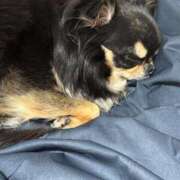 ヒメ日記 2026/03/02 11:50 投稿 真央（人妻） Yシャツと私