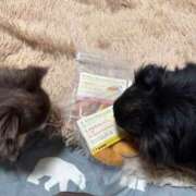 ヒメ日記 2026/03/04 07:23 投稿 真央（人妻） Yシャツと私