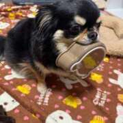 ヒメ日記 2026/03/04 11:45 投稿 真央（人妻） Yシャツと私