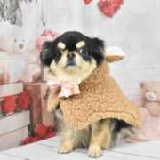 ヒメ日記 2026/03/05 07:03 投稿 真央（人妻） Yシャツと私