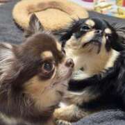 ヒメ日記 2026/03/05 11:45 投稿 真央（人妻） Yシャツと私