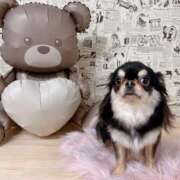 ヒメ日記 2026/03/07 07:39 投稿 真央（人妻） Yシャツと私