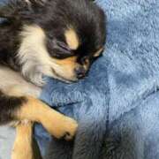 ヒメ日記 2026/03/07 13:05 投稿 真央（人妻） Yシャツと私