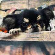 ヒメ日記 2026/03/08 13:14 投稿 真央（人妻） Yシャツと私