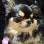 ヒメ日記 2026/03/09 07:27 投稿 真央（人妻） Yシャツと私