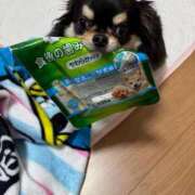 ヒメ日記 2026/03/09 13:11 投稿 真央（人妻） Yシャツと私