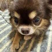 ヒメ日記 2026/03/10 07:26 投稿 真央（人妻） Yシャツと私