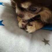 ヒメ日記 2026/03/10 11:56 投稿 真央（人妻） Yシャツと私