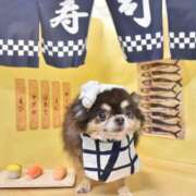 ヒメ日記 2026/03/14 11:47 投稿 真央（人妻） Yシャツと私