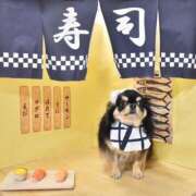 ヒメ日記 2026/03/15 11:46 投稿 真央（人妻） Yシャツと私