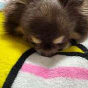 ヒメ日記 2026/03/16 12:55 投稿 真央（人妻） Yシャツと私