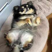 ヒメ日記 2026/03/17 15:49 投稿 真央（人妻） Yシャツと私