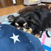 ヒメ日記 2026/03/19 14:45 投稿 真央（人妻） Yシャツと私